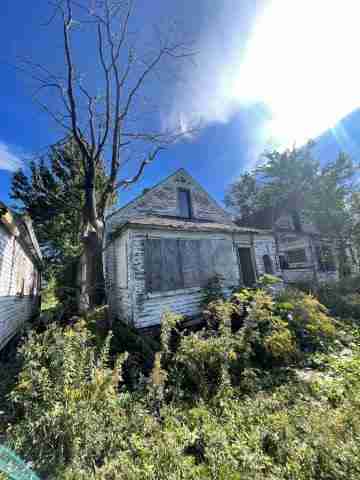 17257 bloom (14).jpg